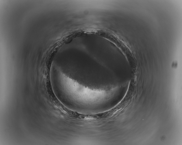 X0000100381445200806131049
