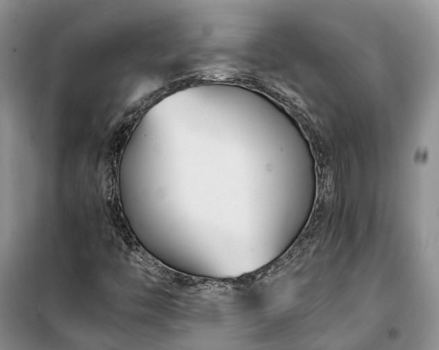 X0000100381446200806131049