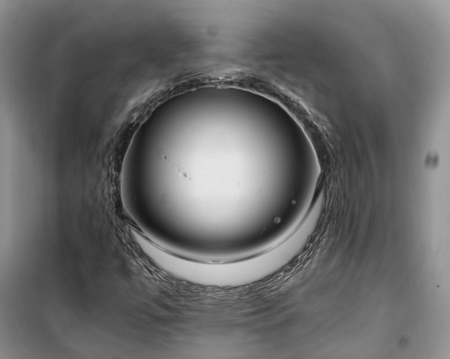 X0000100381447200806131049