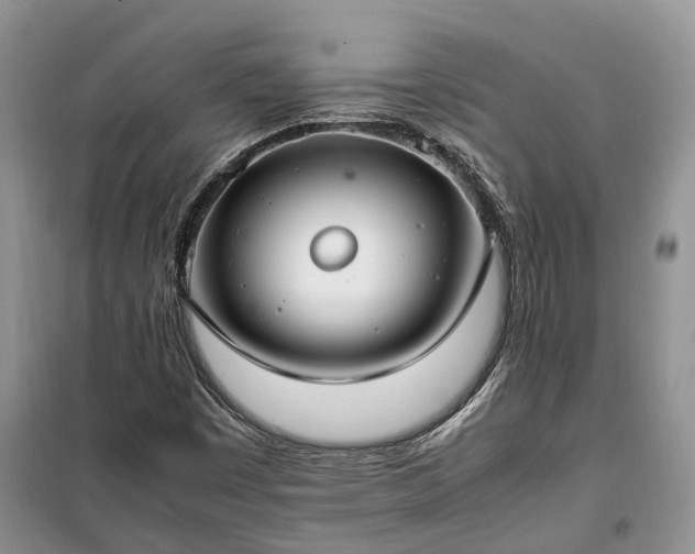 X0000100381449200806131049