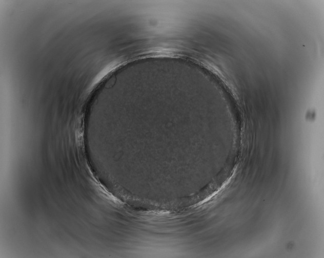 X0000100381450200806131049
