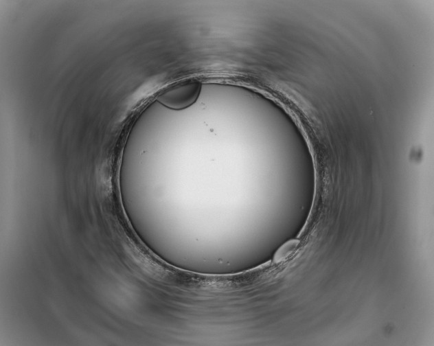 X0000100381451200806131049