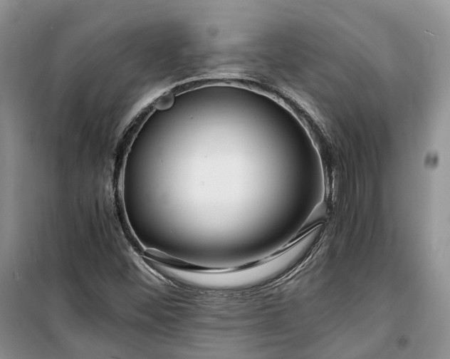 X0000100381452200806131049