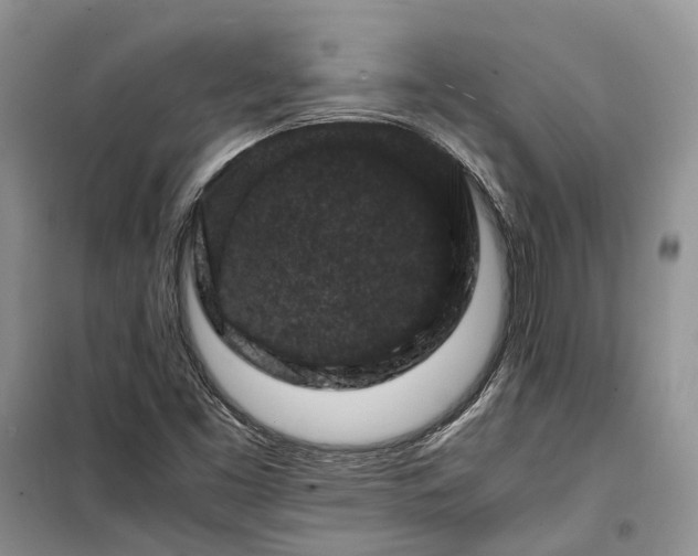 X0000100381453200806131049