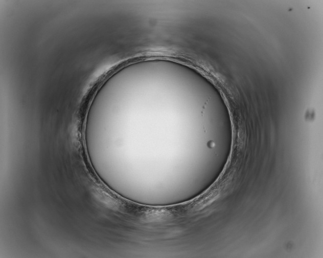 X0000100381454200806131049