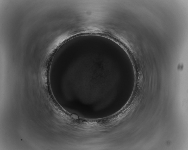 X0000100381455200806131049