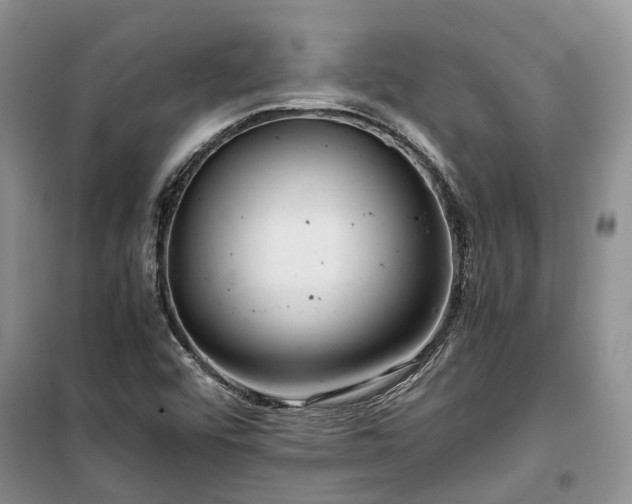 X0000100381456200806131049