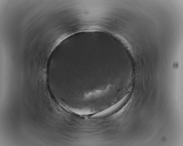X0000100381457200806131049