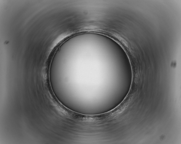 X0000100381458200806131049