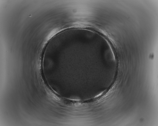 X0000100381459200806131049