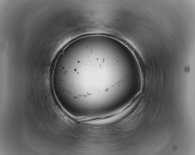 X0000100381460200806131049