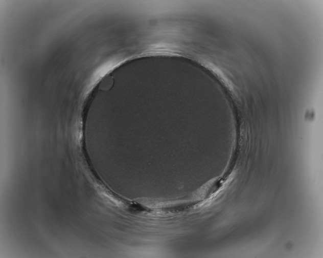 X0000100381461200806131049