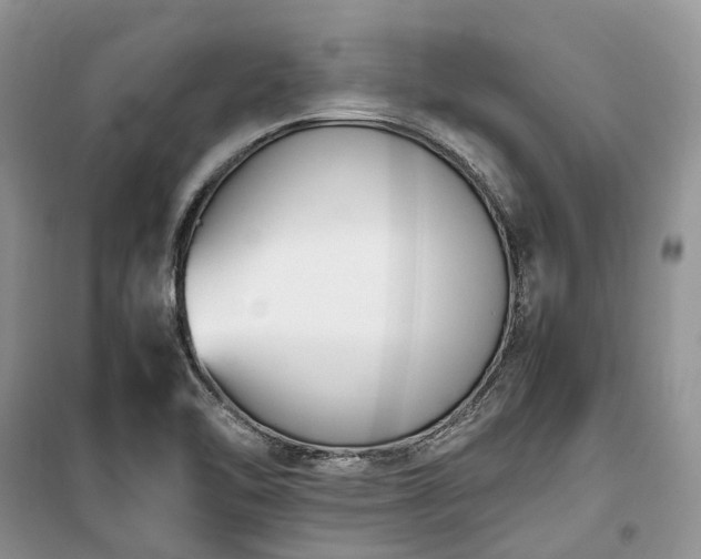X0000100381462200806131049
