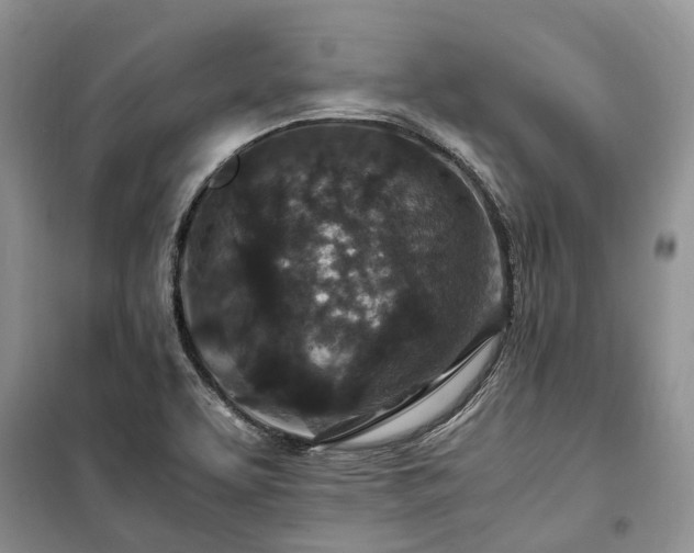 X0000100381463200806131049