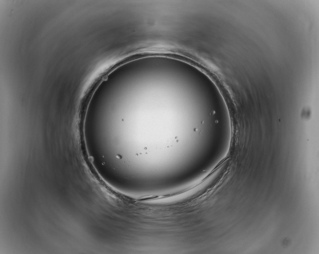 X0000100381464200806131049