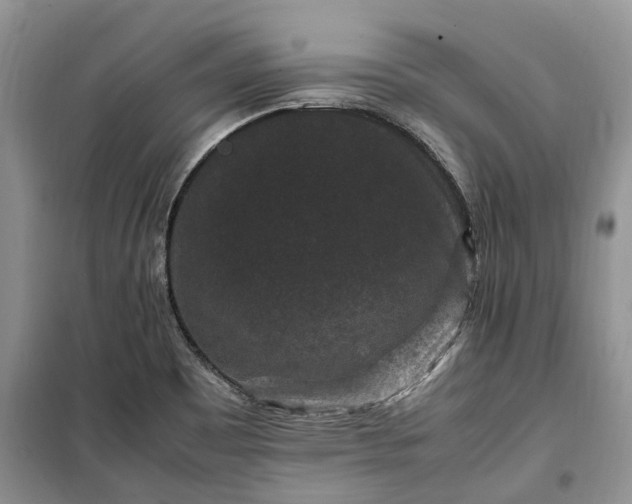 X0000100381465200806131049