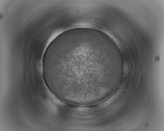 X0000100381466200806131049