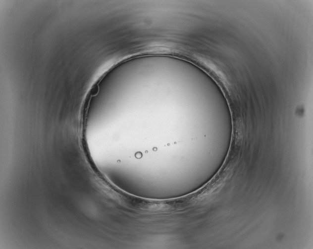 X0000100381467200806131049