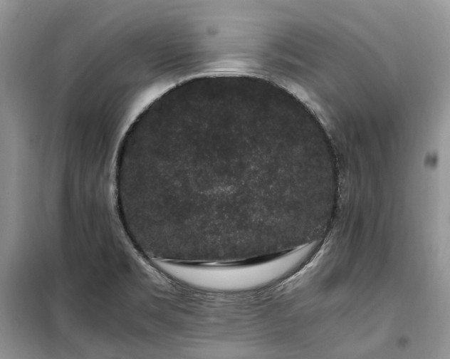 X0000100381469200806131049