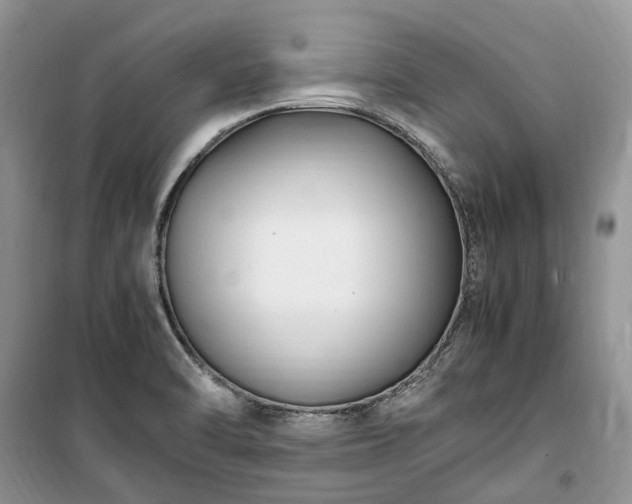 X0000100381470200806131049