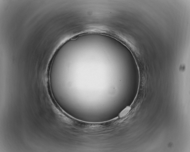 X0000100381471200806131049