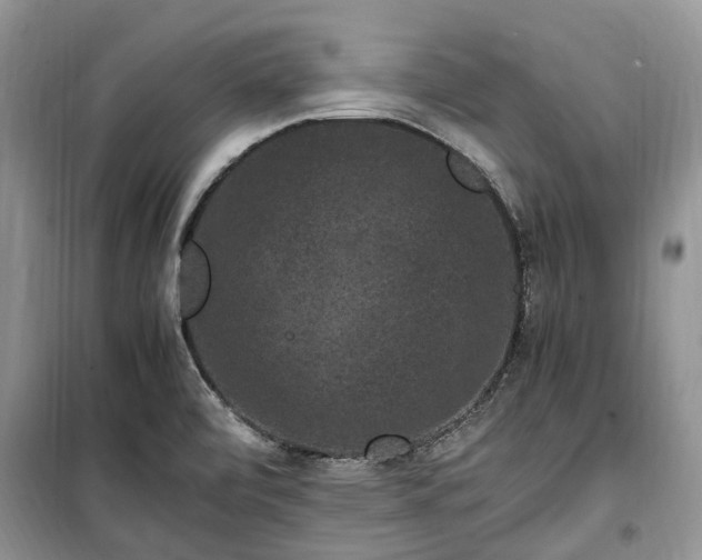 X0000100381472200806131049