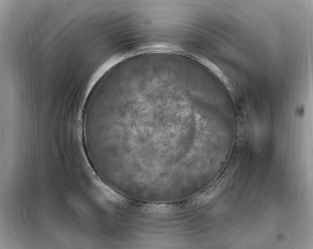 X0000100381474200806131049