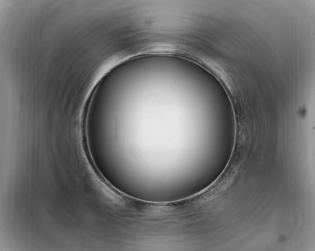 X0000100381475200806131049