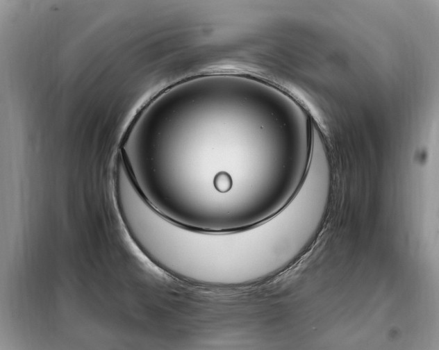 X0000100381476200806131049