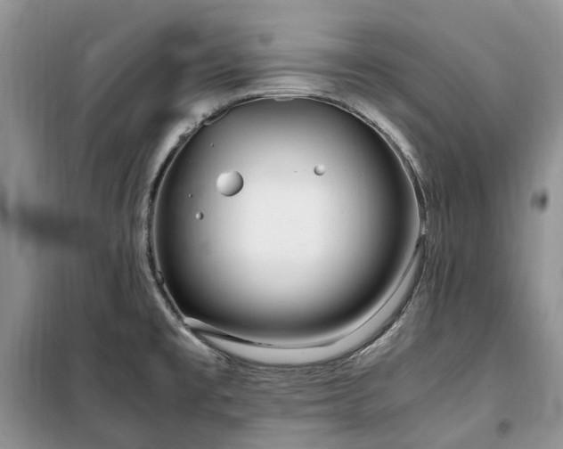 X0000100381477200806131049