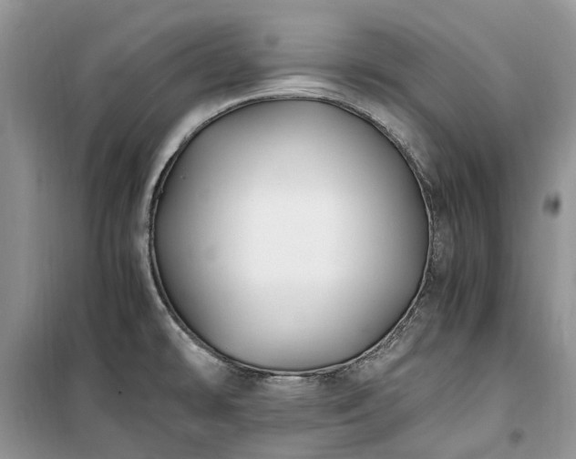 X0000100381478200806131049