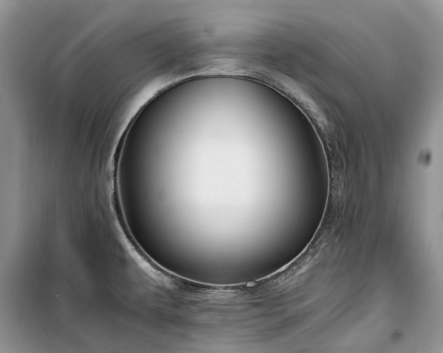 X0000100381479200806131049