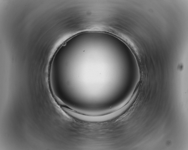 X0000100381480200806131048