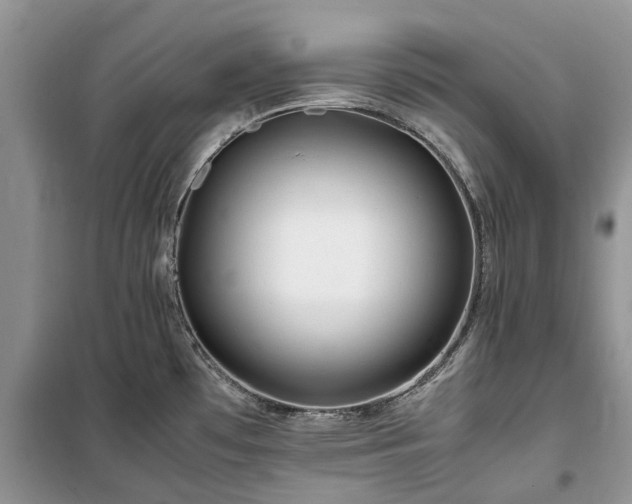 X0000100381481200806131048