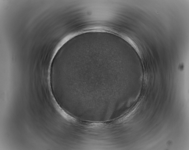 X0000100381482200806131048