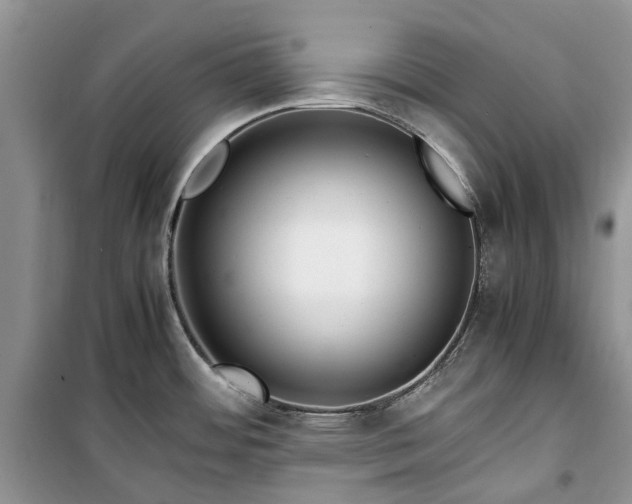 X0000100381484200806131048