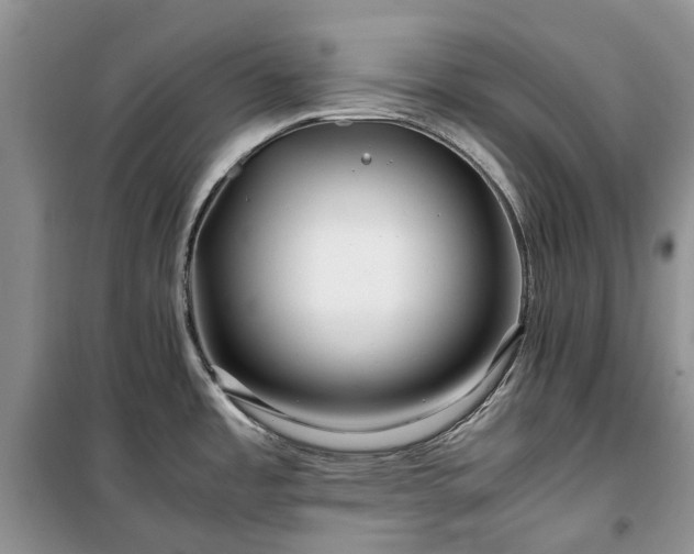 X0000100381485200806131048