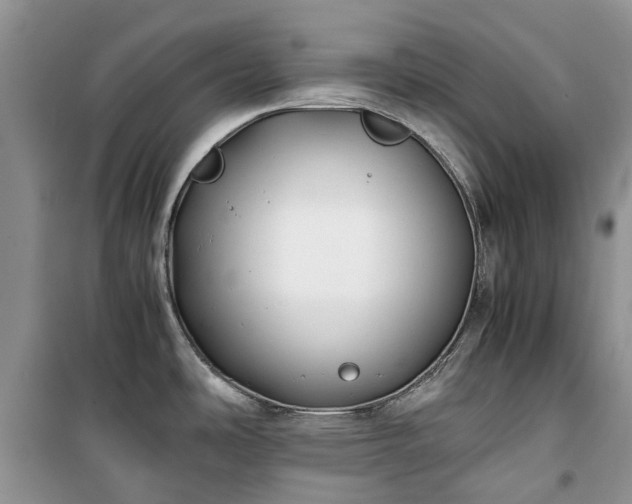 X0000100381486200806131048