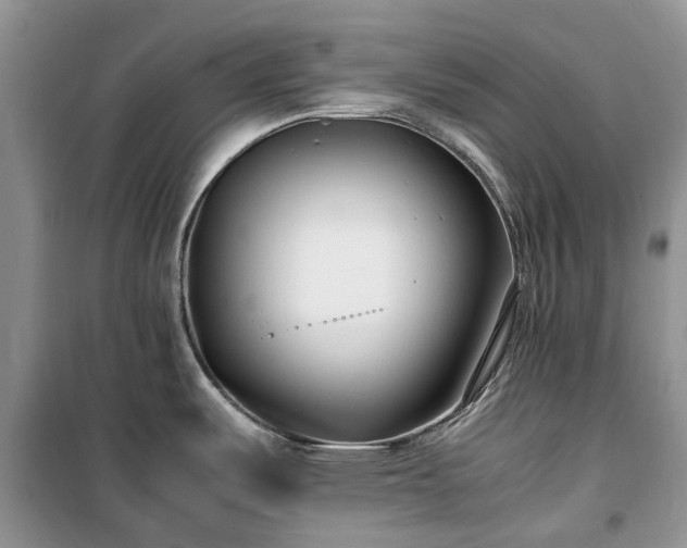 X0000100381487200806131048