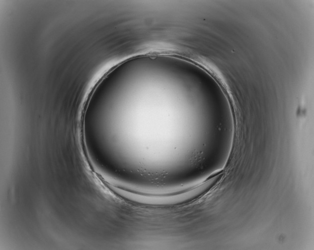 X0000100381488200806131048