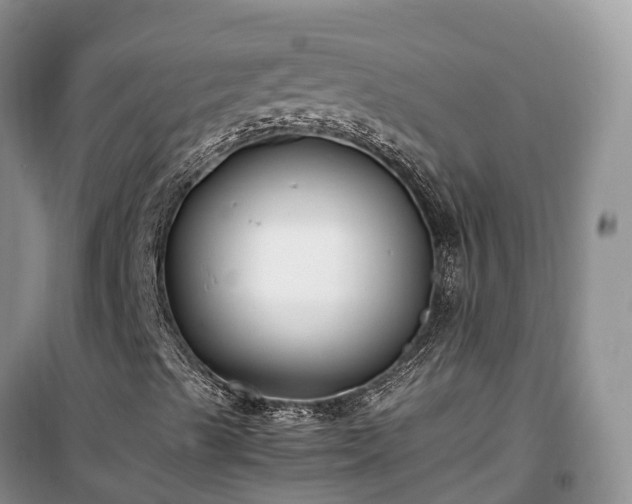 X0000100381489200806131048