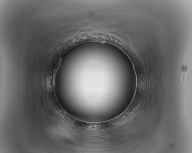 X0000100381490200806131048