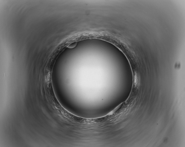 X0000100381492200806131048