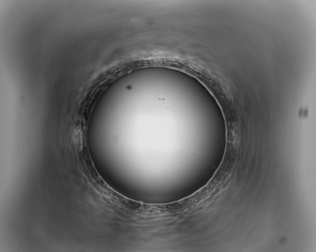 X0000100381493200806131048