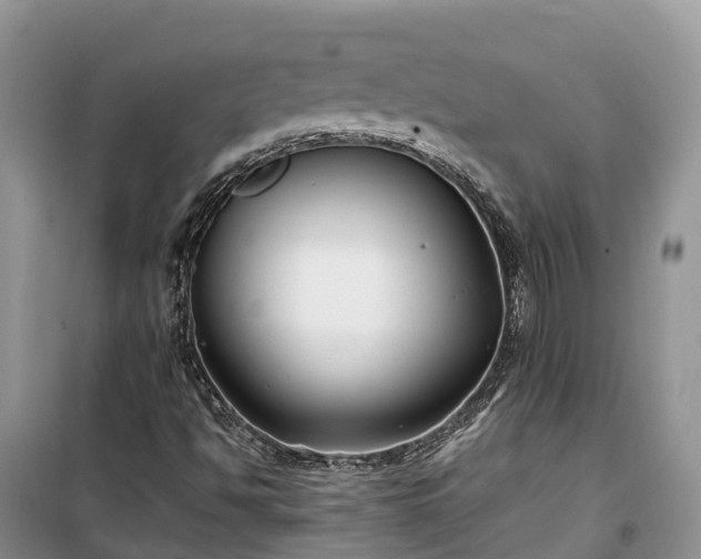 X0000100381494200806131048