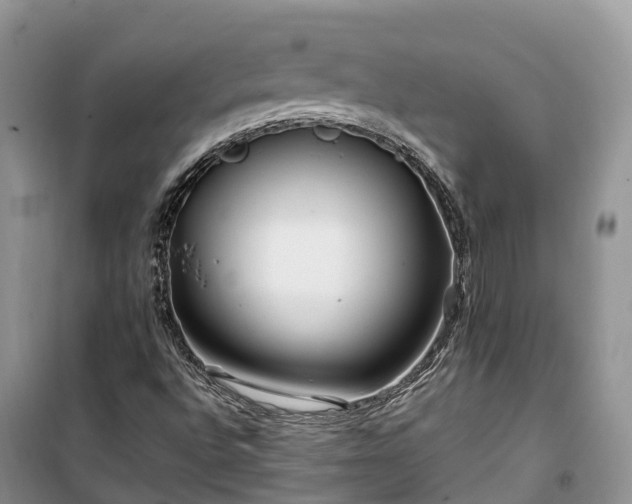 X0000100381496200806131048