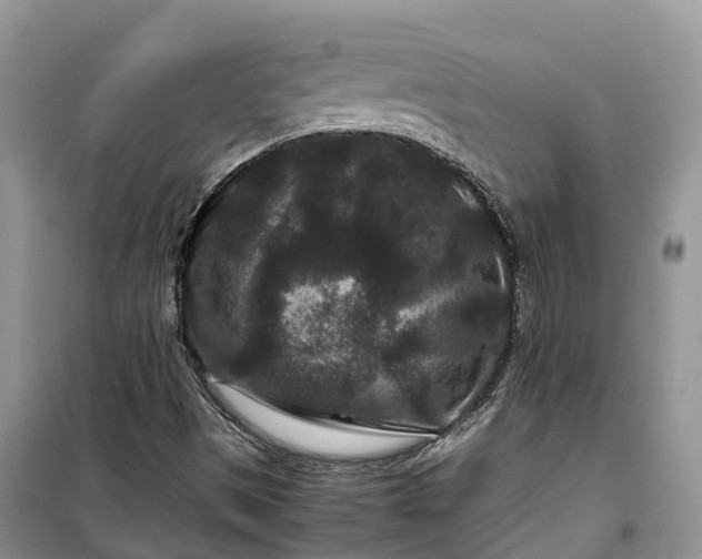 X0000100381497200806131048