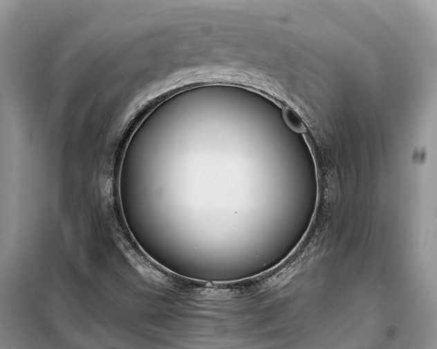 X0000100381499200806131048