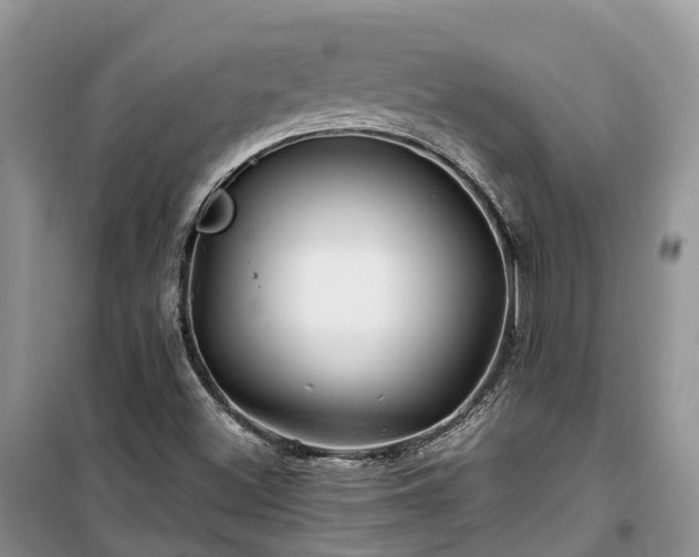 X0000100381500200806131048