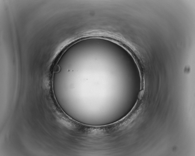 X0000100381501200806131048